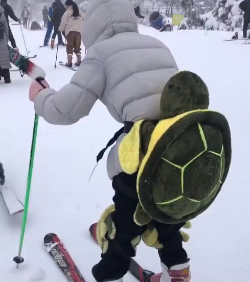 详细阅读:滑雪小乌龟(滑雪小乌龟是什么) 滑雪小乌龟(滑雪小乌龟是什么)